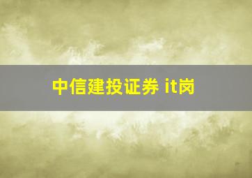 中信建投证券 it岗